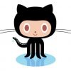 WordPress Subversion Repositories and GitHub GitHub Octocat