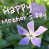 Happy Mother's Day