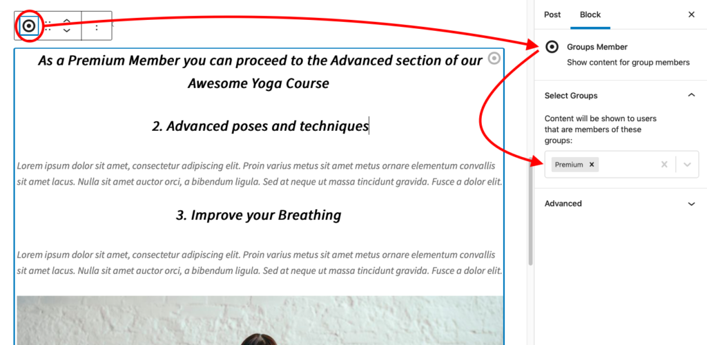Showing how the Premium group is chosen to protect the content of the Groups Member block.