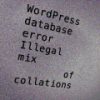 WordPress Database Collation Troubles